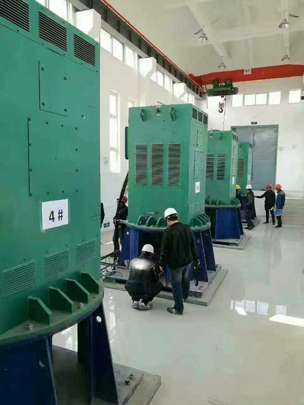 克东某污水处理厂使用我厂的立式高压电机安装现场